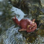 宜兴紫砂雕塑 | 鱼化龙_泥料：紫泥